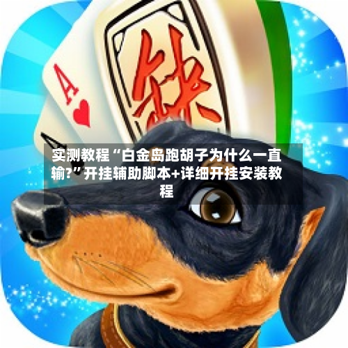 实测教程“白金岛跑胡子为什么一直输?”开挂辅助脚本+详细开挂安装教程-第2张图片