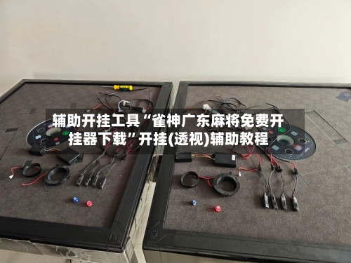 辅助开挂工具“雀神广东麻将免费开挂器下载	”开挂(透视)辅助教程-第1张图片