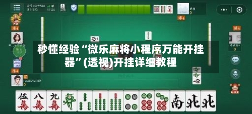 秒懂经验“微乐麻将小程序万能开挂器”(透视)开挂详细教程-第2张图片