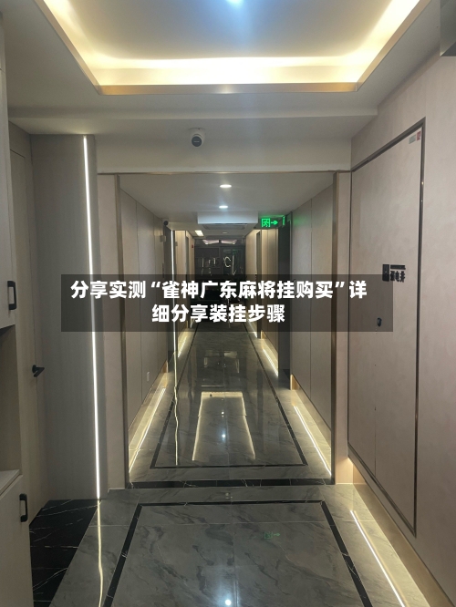 分享实测“雀神广东麻将挂购买”详细分享装挂步骤-第3张图片