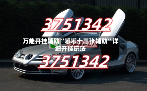 万能开挂辅助“嘟嘟十三张辅助”详细开挂玩法-第1张图片