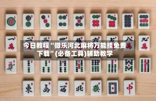 今日教程“微乐河北麻将万能挂免费下载	”(必备工具)辅助教学-第2张图片