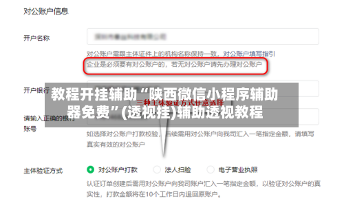 教程开挂辅助“陕西微信小程序辅助器免费”(透视挂)辅助透视教程-第2张图片