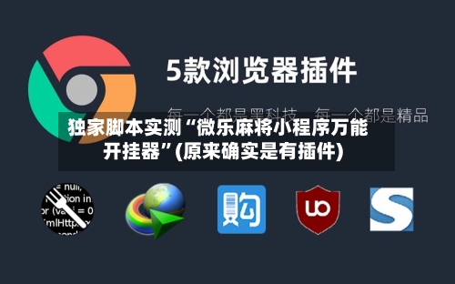 独家脚本实测“微乐麻将小程序万能开挂器”(原来确实是有插件)-第3张图片