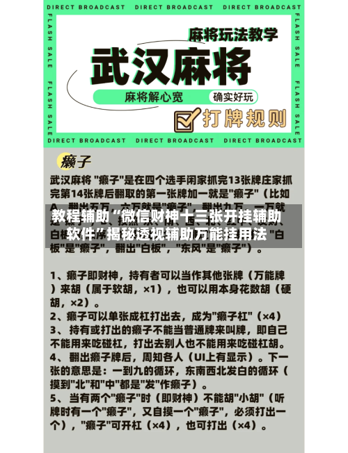 教程辅助“微信财神十三张开挂辅助软件	”揭秘透视辅助万能挂用法-第1张图片