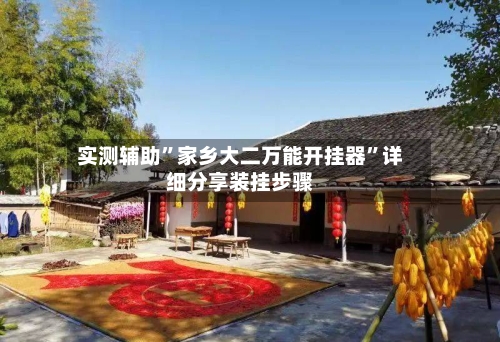 实测辅助”家乡大二万能开挂器”详细分享装挂步骤-第2张图片