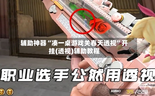 辅助神器“凑一桌游戏关春天透视”开挂(透视)辅助教程-第1张图片