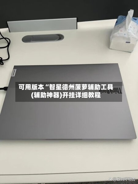 可用版本“智星德州菠萝辅助工具(辅助神器)开挂详细教程-第1张图片