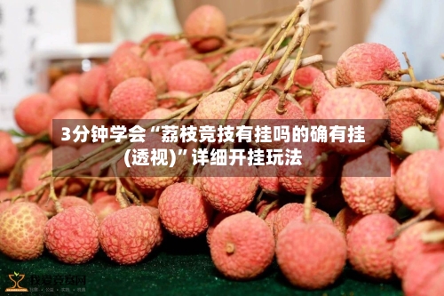 3分钟学会“荔枝竞技有挂吗的确有挂(透视)”详细开挂玩法-第1张图片
