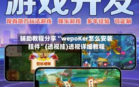 辅助教程分享“wepoKer怎么安装挂件”(透视挂)透视详细教程-第1张图片