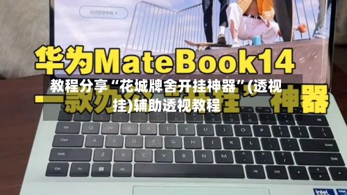 教程分享“花城牌舍开挂神器”(透视挂)辅助透视教程-第1张图片
