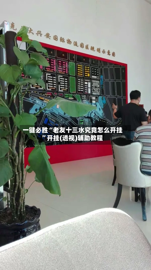 一键必胜“老友十三水究竟怎么开挂”开挂(透视)辅助教程-第2张图片