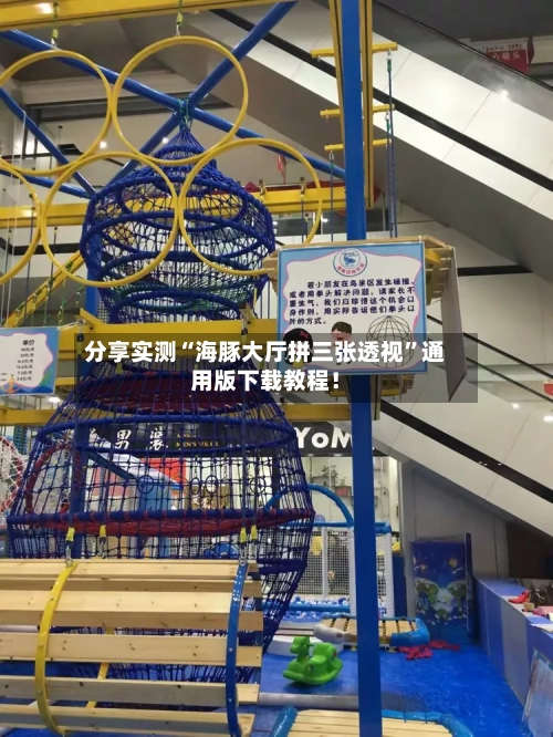 分享实测“海豚大厅拼三张透视”通用版下载教程！-第1张图片