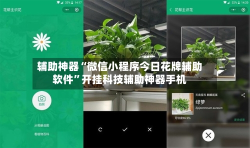 辅助神器“微信小程序今日花牌辅助软件”开挂科技辅助神器手机-第3张图片