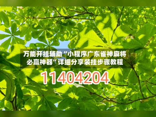 万能开挂辅助“小程序广东雀神麻将必赢神器”详细分享装挂步骤教程-第2张图片