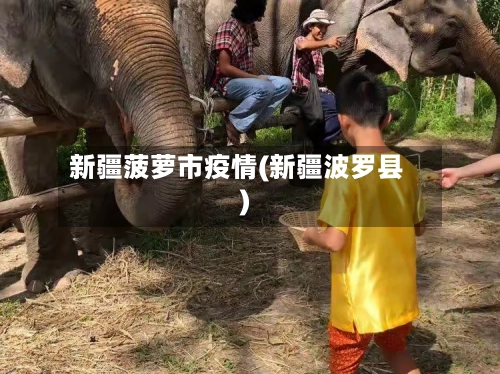 新疆菠萝市疫情(新疆波罗县)-第2张图片
