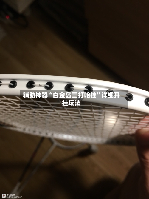 辅助神器“白金岛三打哈挂”详细开挂玩法-第1张图片