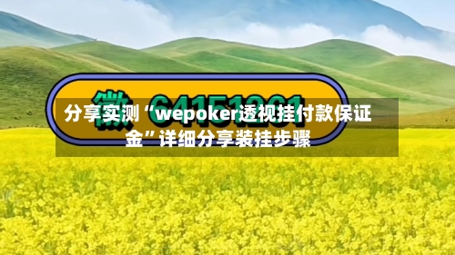 分享实测“wepoker透视挂付款保证金”详细分享装挂步骤-第1张图片