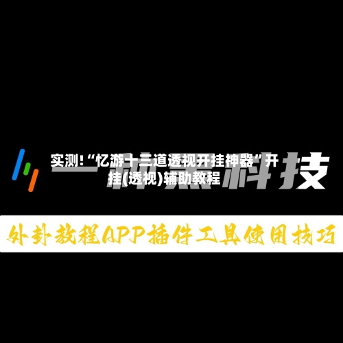 实测!“忆游十三道透视开挂神器”开挂(透视)辅助教程-第1张图片