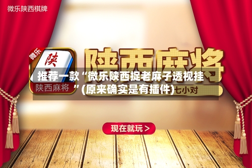 推荐一款“微乐陕西捉老麻子透视挂	”(原来确实是有插件)-第2张图片