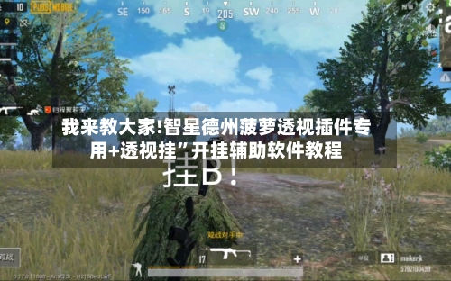 我来教大家!智星德州菠萝透视插件专用+透视挂”开挂辅助软件教程-第2张图片