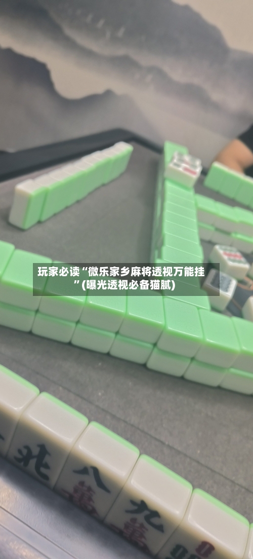 玩家必读“微乐家乡麻将透视万能挂	”(曝光透视必备猫腻)-第2张图片