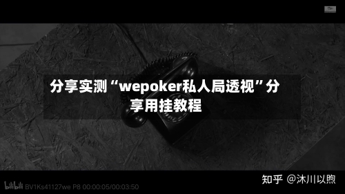 分享实测“wepoker私人局透视”分享用挂教程-第2张图片