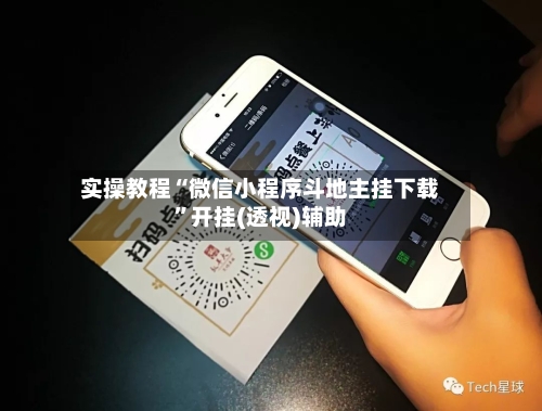 实操教程“微信小程序斗地主挂下载	”开挂(透视)辅助-第3张图片