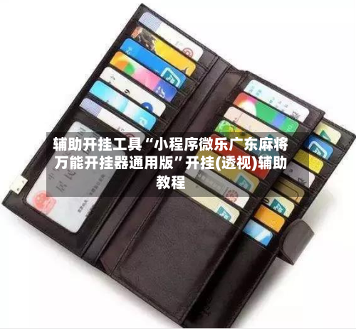 辅助开挂工具“小程序微乐广东麻将万能开挂器通用版	”开挂(透视)辅助教程-第1张图片