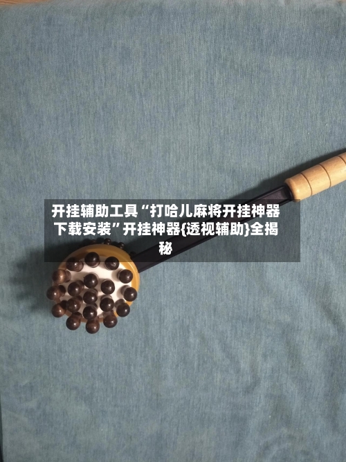 开挂辅助工具“打哈儿麻将开挂神器下载安装”开挂神器{透视辅助}全揭秘-第2张图片