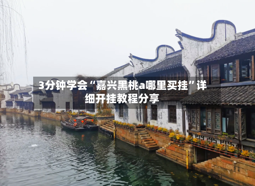 3分钟学会“嘉兴黑桃a哪里买挂”详细开挂教程分享-第2张图片