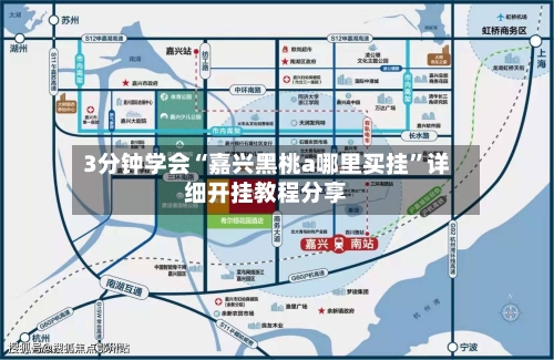 3分钟学会“嘉兴黑桃a哪里买挂	”详细开挂教程分享-第1张图片