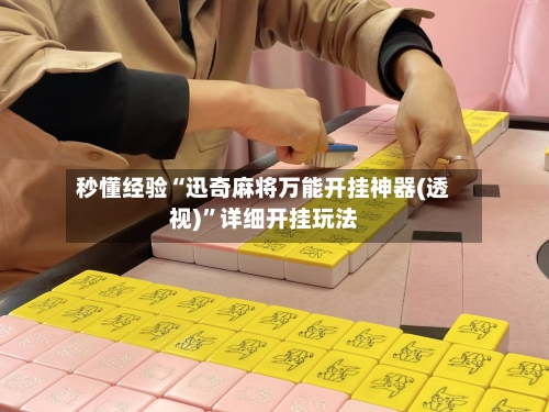 秒懂经验“迅奇麻将万能开挂神器(透视)”详细开挂玩法-第2张图片