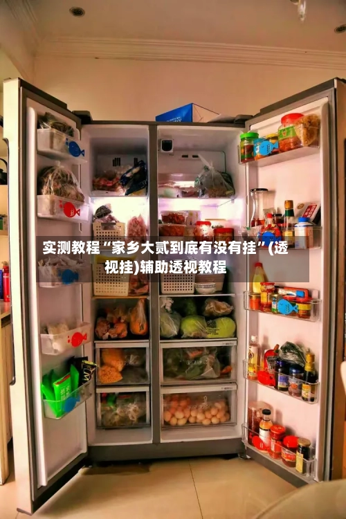 实测教程“家乡大贰到底有没有挂”(透视挂)辅助透视教程-第1张图片