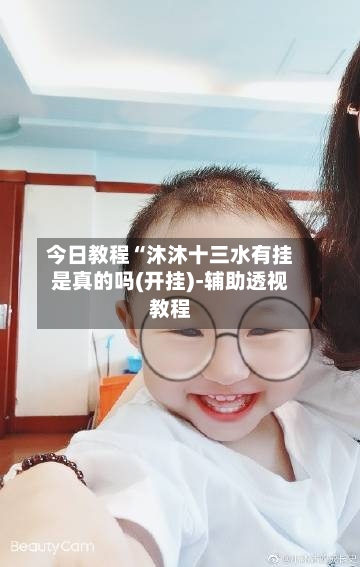 今日教程“沐沐十三水有挂是真的吗(开挂)-辅助透视教程-第2张图片