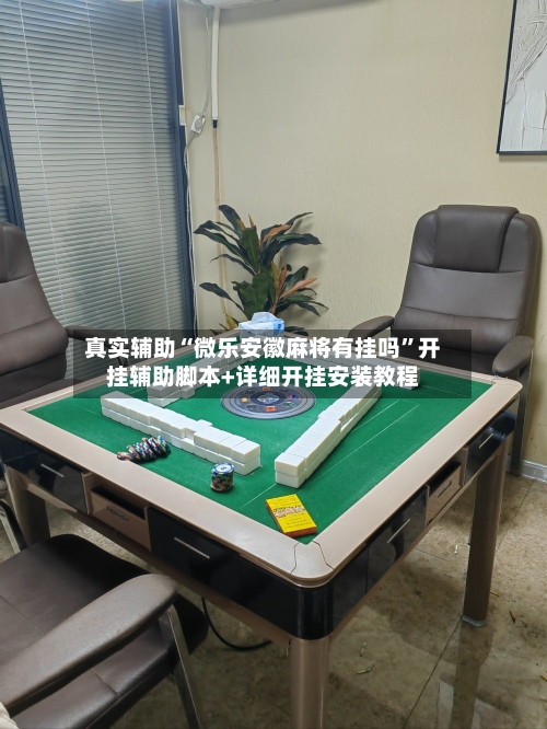真实辅助“微乐安徽麻将有挂吗”开挂辅助脚本+详细开挂安装教程-第3张图片