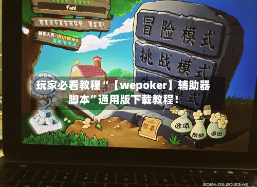 玩家必看教程“【wepoker】辅助器脚本”通用版下载教程！-第3张图片