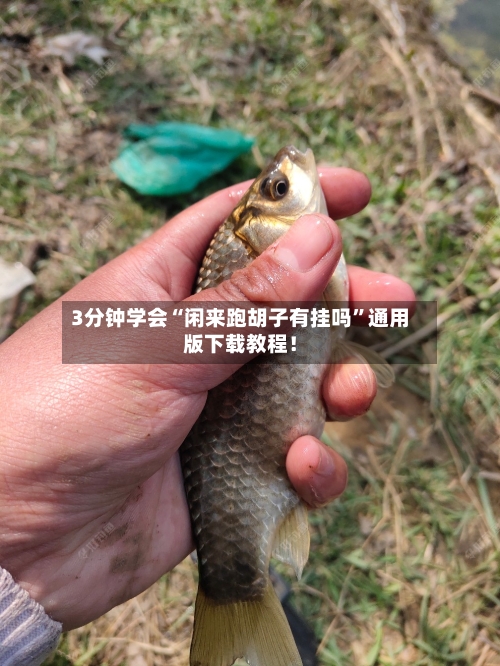 3分钟学会“闲来跑胡子有挂吗”通用版下载教程！-第1张图片