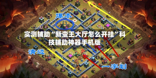 实测辅助“新蛮王大厅怎么开挂”科技辅助神器手机版-第1张图片