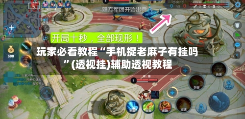 玩家必看教程“手机捉老麻子有挂吗”(透视挂)辅助透视教程-第2张图片