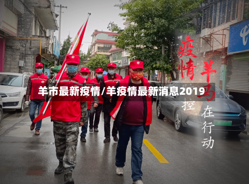 羊市最新疫情/羊疫情最新消息2019-第1张图片