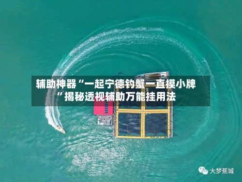 辅助神器“一起宁德钓蟹一直摸小牌”揭秘透视辅助万能挂用法-第3张图片