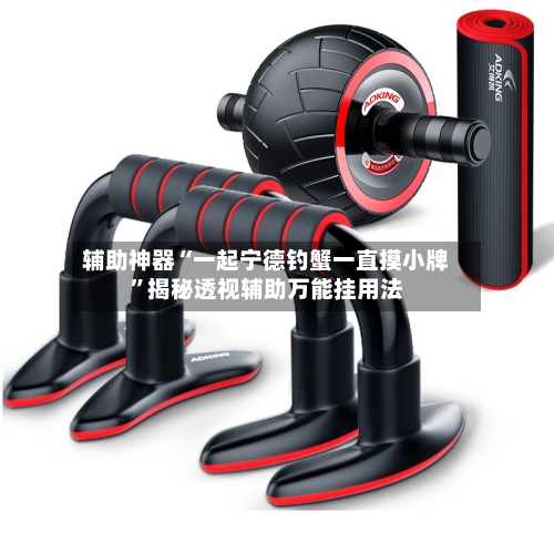 辅助神器“一起宁德钓蟹一直摸小牌”揭秘透视辅助万能挂用法-第2张图片