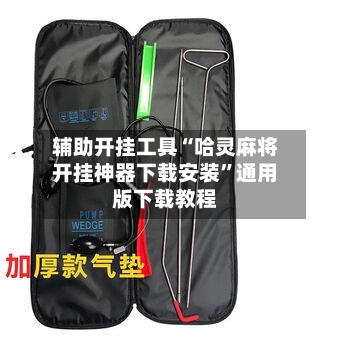 辅助开挂工具“哈灵麻将开挂神器下载安装”通用版下载教程-第1张图片