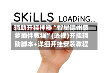 辅助开挂神器“智星德州菠萝插件教程”(透视)开挂辅助脚本+详细开挂安装教程-第1张图片