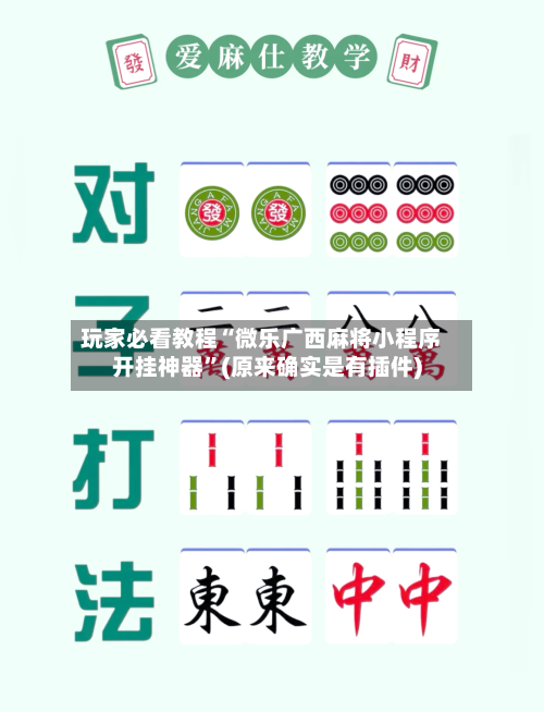 玩家必看教程“微乐广西麻将小程序开挂神器”(原来确实是有插件)-第1张图片
