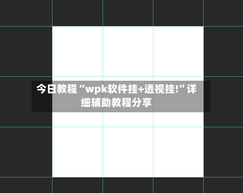 今日教程“wpk软件挂+透视挂!”详细辅助教程分享-第2张图片