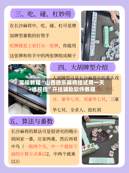 实操教程“山西微乐麻将挂试用一天+透视挂”开挂辅助软件教程-第1张图片