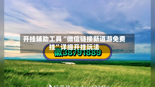 开挂辅助工具“微信链接新道游免费挂	”详细开挂玩法-第2张图片