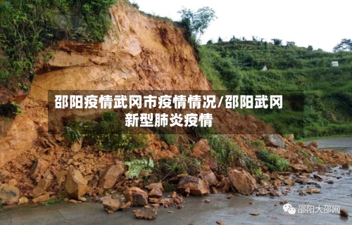 邵阳疫情武冈市疫情情况/邵阳武冈新型肺炎疫情-第1张图片